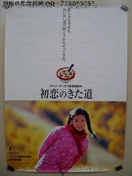 雷恩第二大学公共管理文凭证书